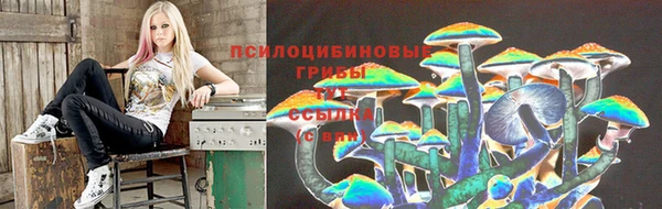 не бодяженный Медвежьегорск