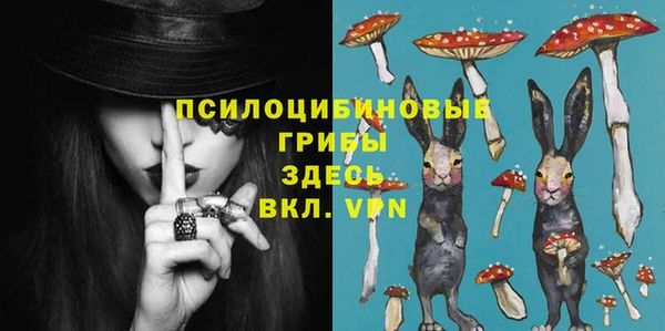 не бодяженный Медвежьегорск