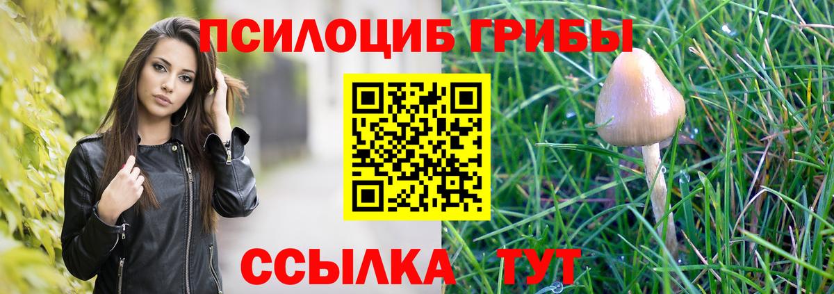 Черногорск  Галлюциногенные грибы Cubensis  купить  цена  Вход с VPN  Псилоцибиновые грибы Psilocybe 