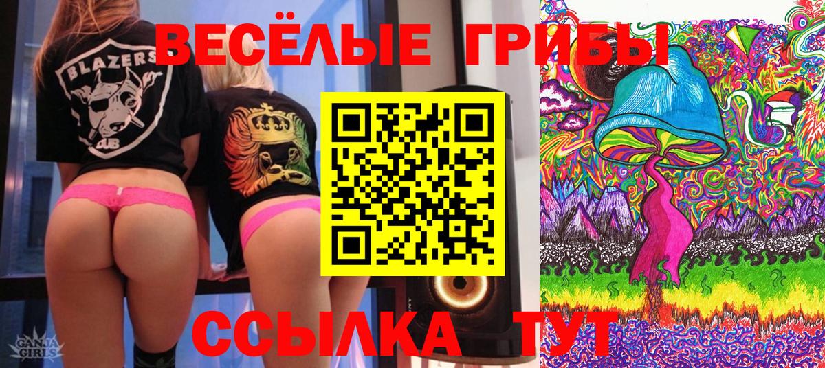 Галлюциногенные грибы GOLDEN TEACHER Черногорск